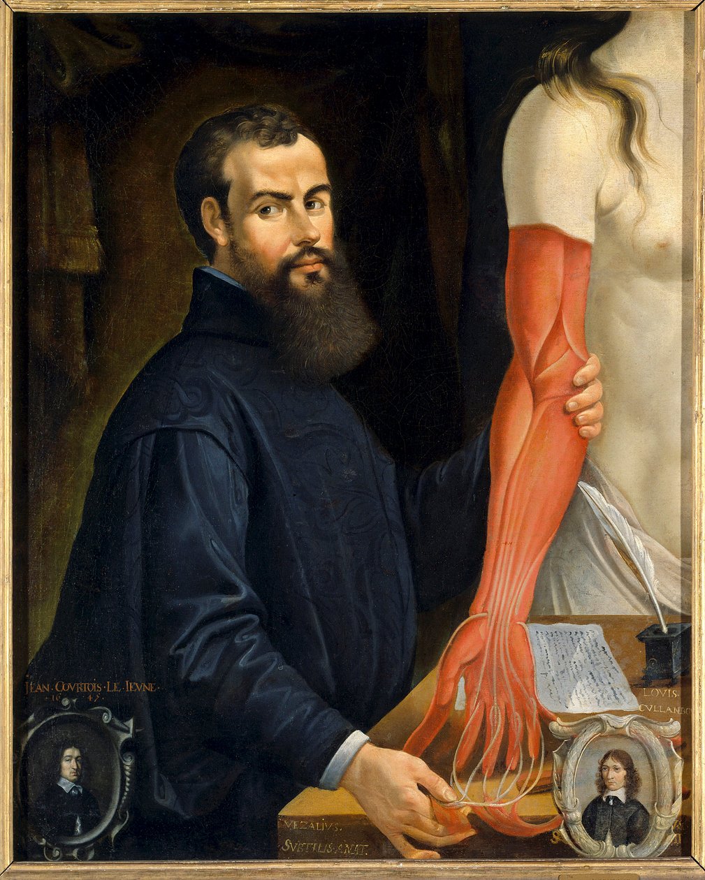 Retrato de André Vesale (Andrea Vesalius ou Andries Van Wesel), anatomista e médico de Carlos V (1514-1564)" Pintura de Pierre Poncet (1574-1640) Sol. 0,96 X 0,77 m Orleans musee des Beaux Arts - Retrato de Andrea Vasalius (ou Andries Van Wesel) (157 de Pierre Poncet