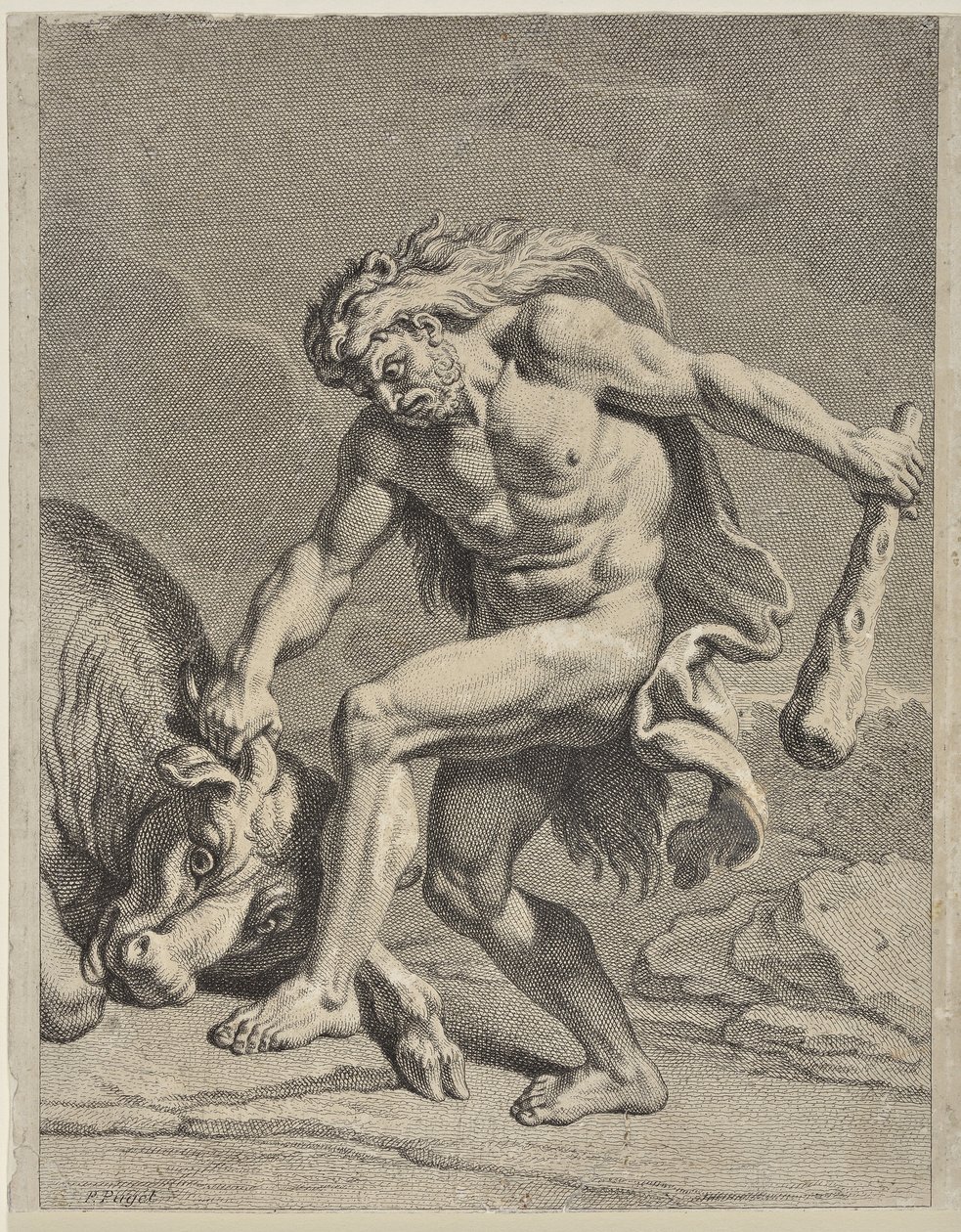 Hércules lutando contra o touro cretense (desenho) de Pierre Puget