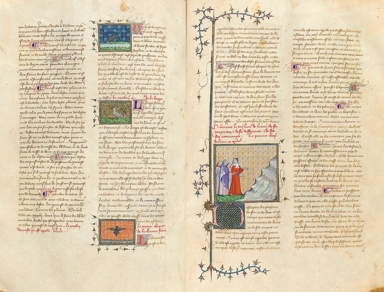 Página de "Propriedades das coisas" por Bartholomew o inglês na tradução francesa de Jean Corbechon, c.1390 de Pierre Remiet