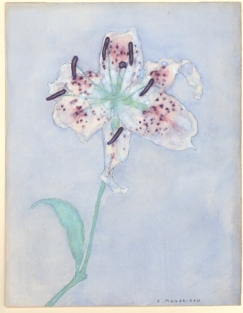Lily, depois de 1921 (wc no papel) de Piet Mondrian