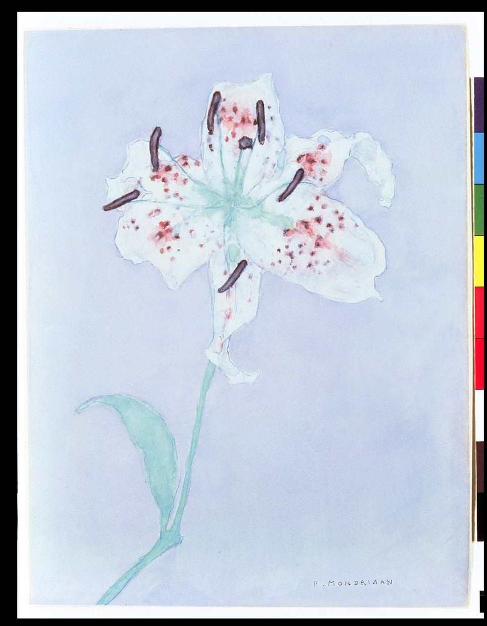 Lily, depois de 1921 (aguarela e lápis) de Piet Mondrian