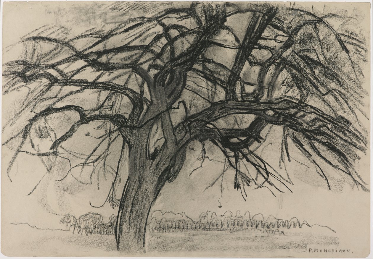 Estudo Preliminar para a Noite: A Árvore Vermelha, 1908 (lápis preto e carvão sobre papel) de Piet Mondrian