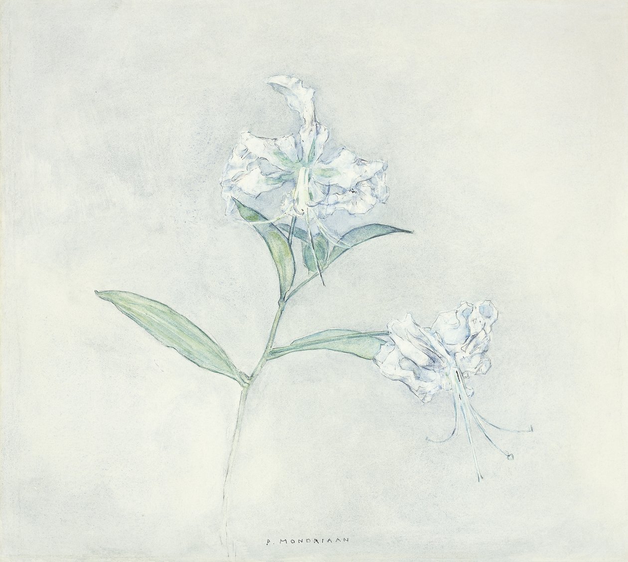 Duas Lilys japonesas; Dois lírios japoneses de Piet Mondrian