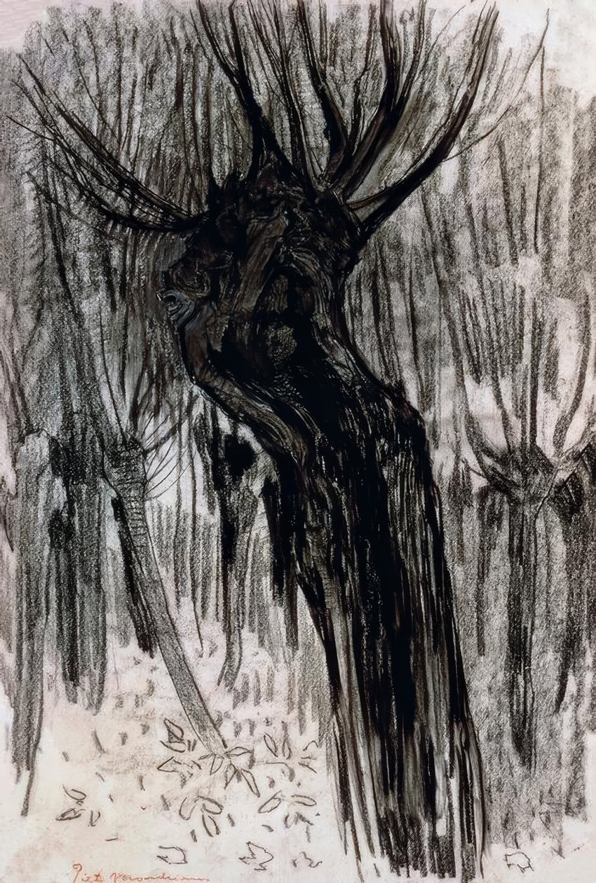 Salgueiros, 1902-1904, de Piet Mondrian