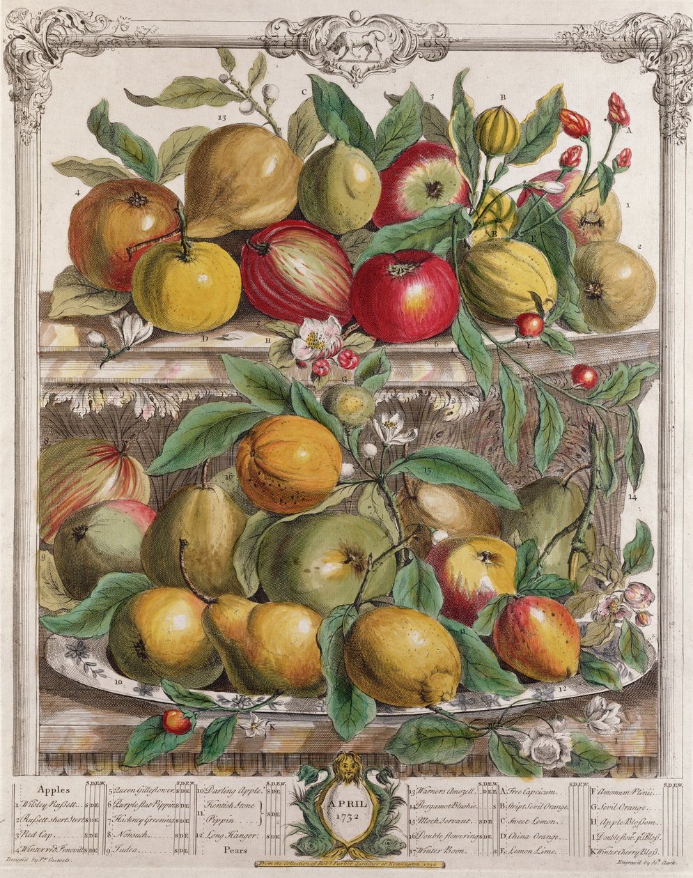 Abril, de &39;Doze Meses de Frutos&39;, de Robert Furber (c.1674-1756) gravado por J. Clark, 1732 de Pieter Casteels