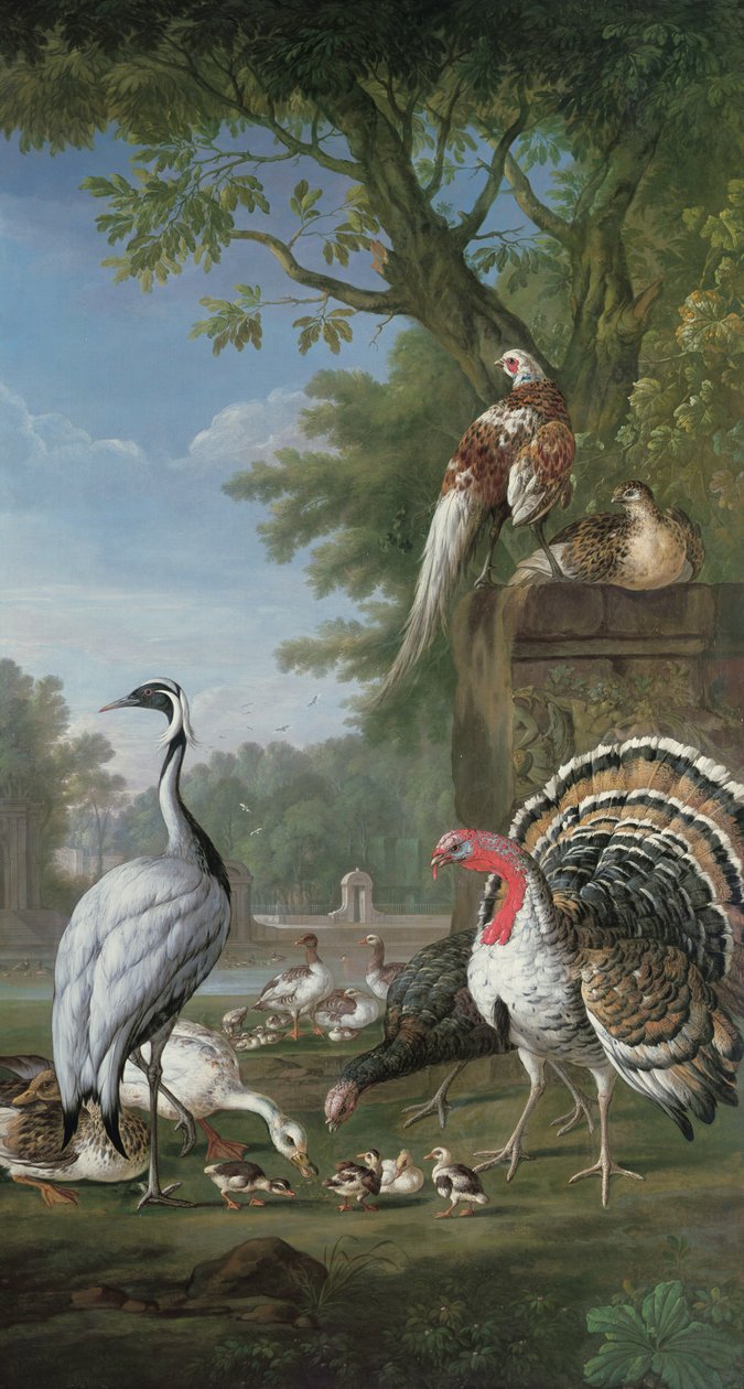 Grupo de aves exóticas (óleo) de Pieter Casteels