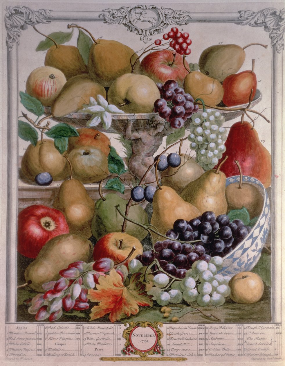 Novembro, de &39;Doze Meses de Frutos&39;, de Robert Furber (c.1674-1756) gravado por James Smith, 1732 (gravura colorida) de Pieter Casteels