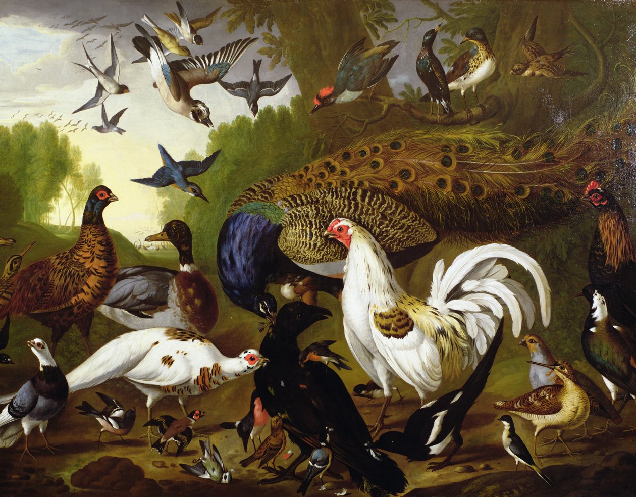 A fábula do corvo com um pavão, galo, pica-pau, gaio, galinhola e pega de Pieter Casteels