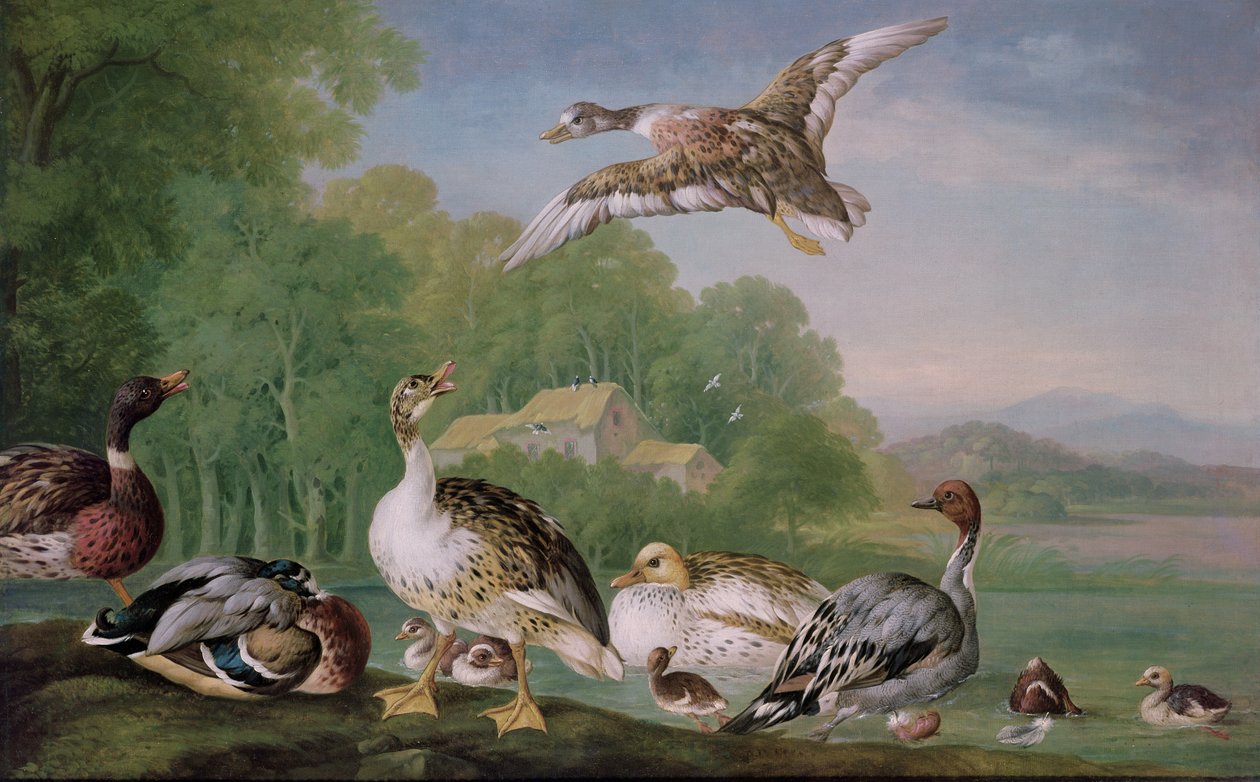 Imagem desconhecida de Pieter Casteels