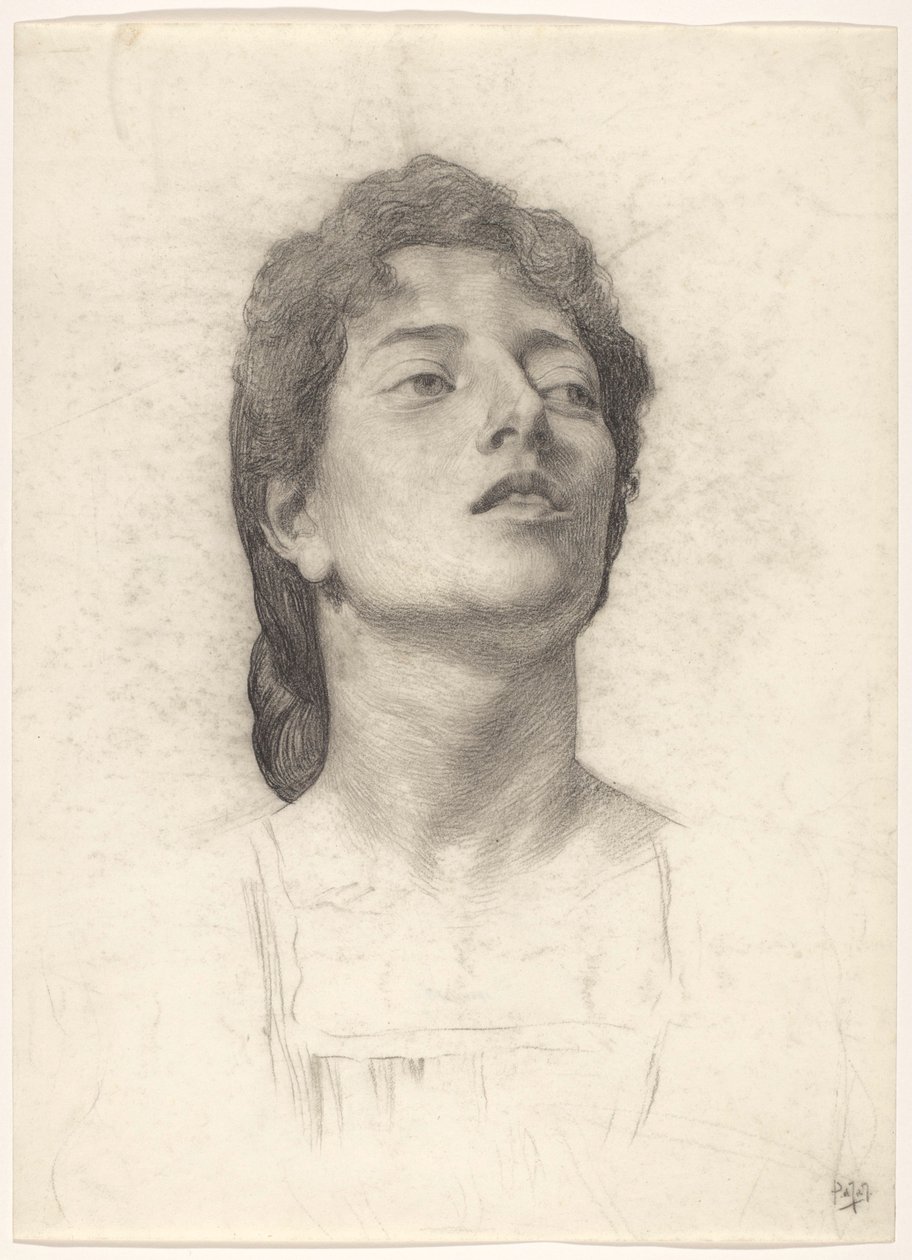 Retrato de uma mulher de Pieter de Josselin