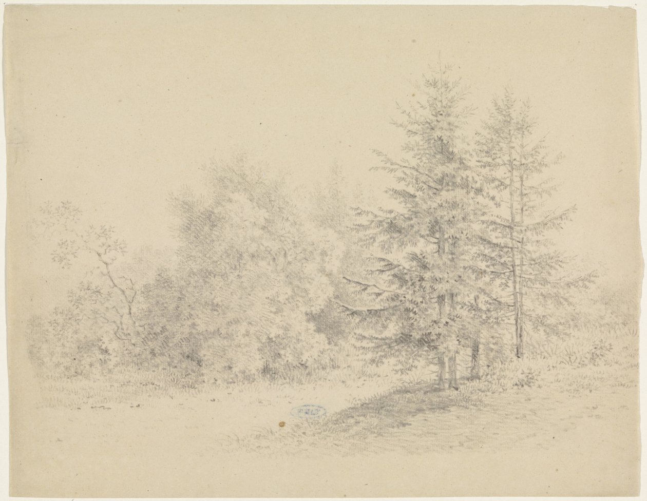Vista da floresta com pinheiros de Pieter Bartholomeusz. Barbiers