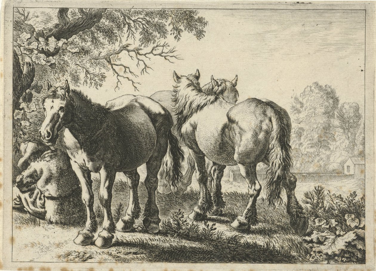 Três cavalos e um agricultor
Vários animais (título da série) de Pieter Bodding van Laer