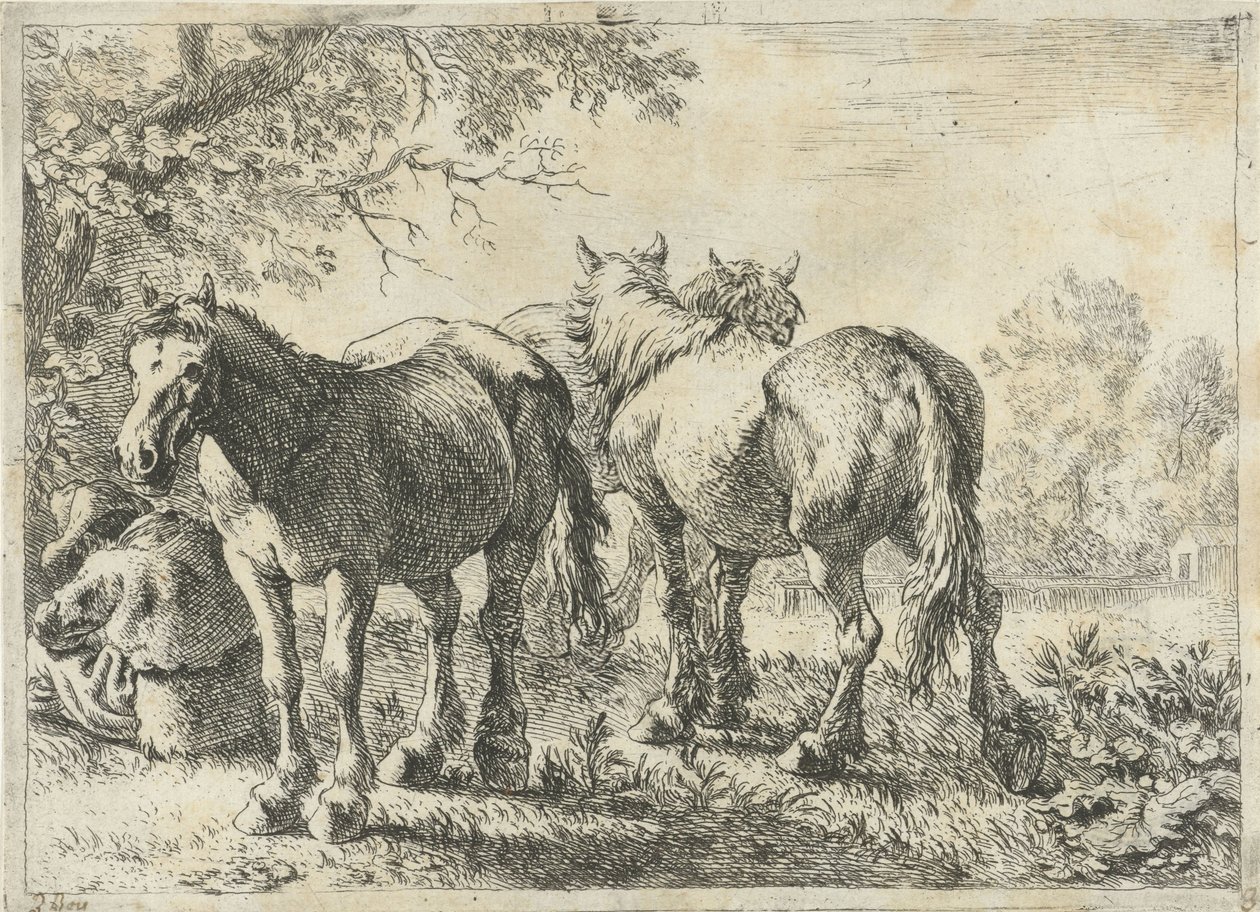 Três cavalos e um agricultor
Vários animais (título da série) de Pieter Bodding van Laer