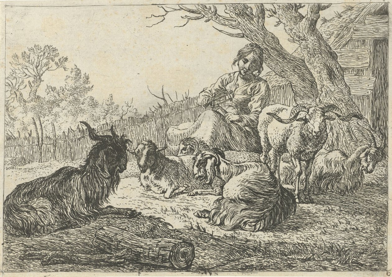Pastora no meio de cabras e ovelhas
Vários animais (título da série) de Pieter Bodding van Laer