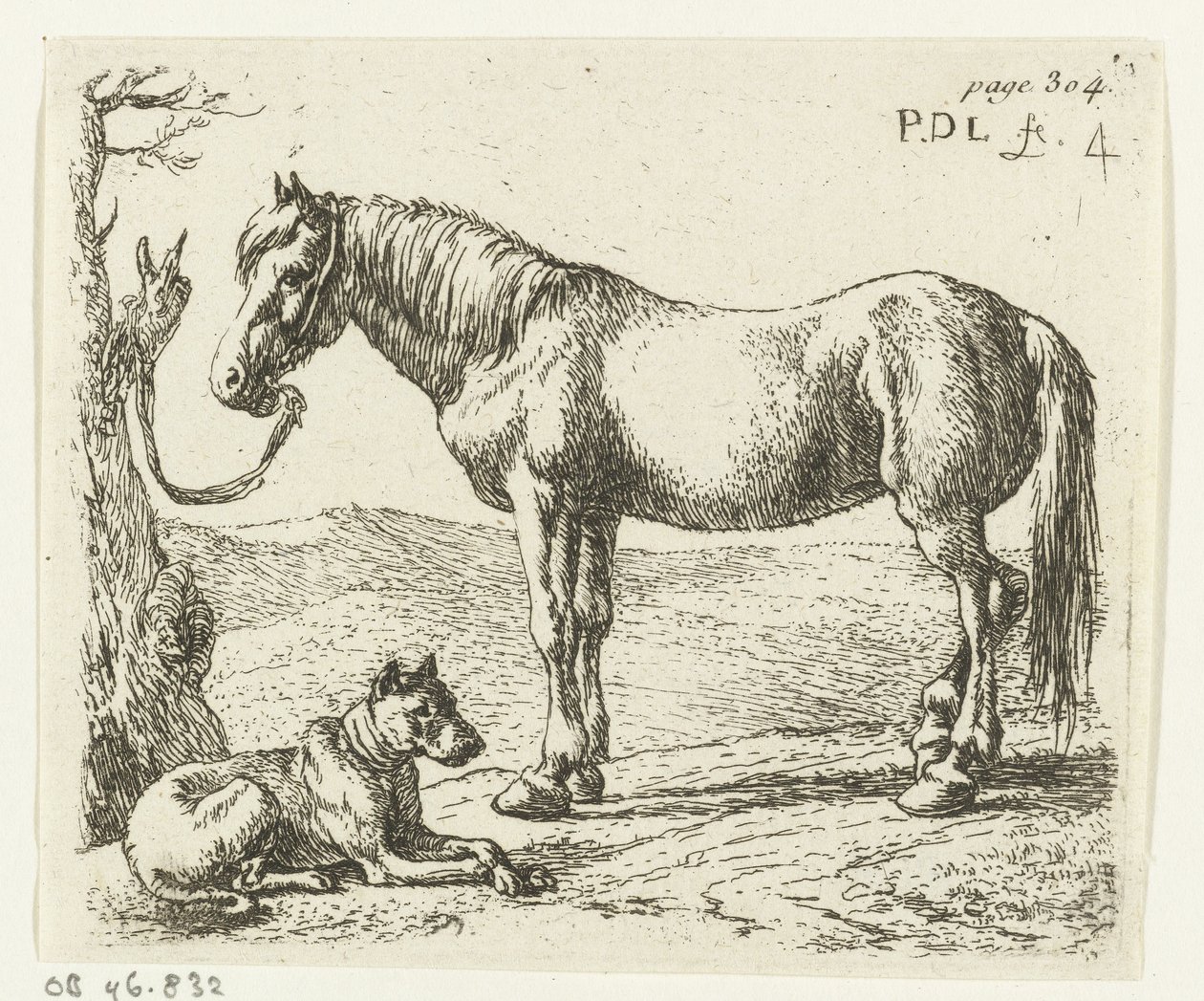 Cavalo e cachorro em um prado Cavalos (título da série) de Pieter Bodding van Laer