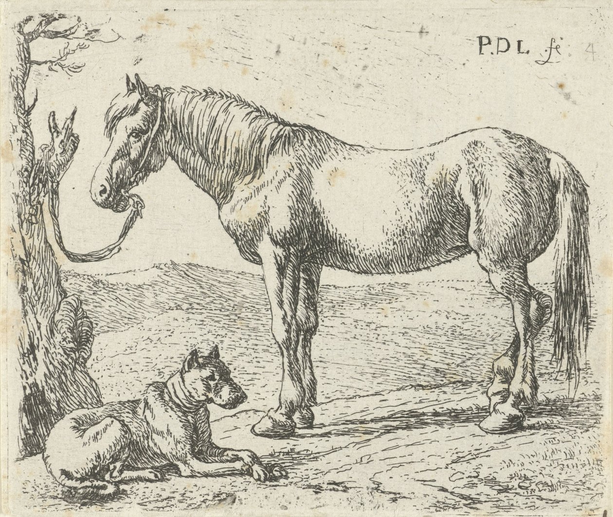 Cavalo e cão num prado
Cavalos (título da série) de Pieter Bodding van Laer