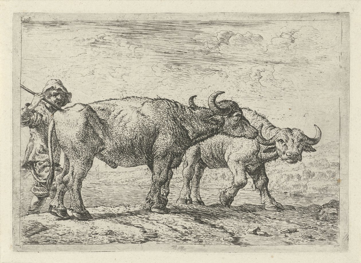 Dois búfalos e um pastor
Vários animais (título da série) de Pieter Bodding van Laer