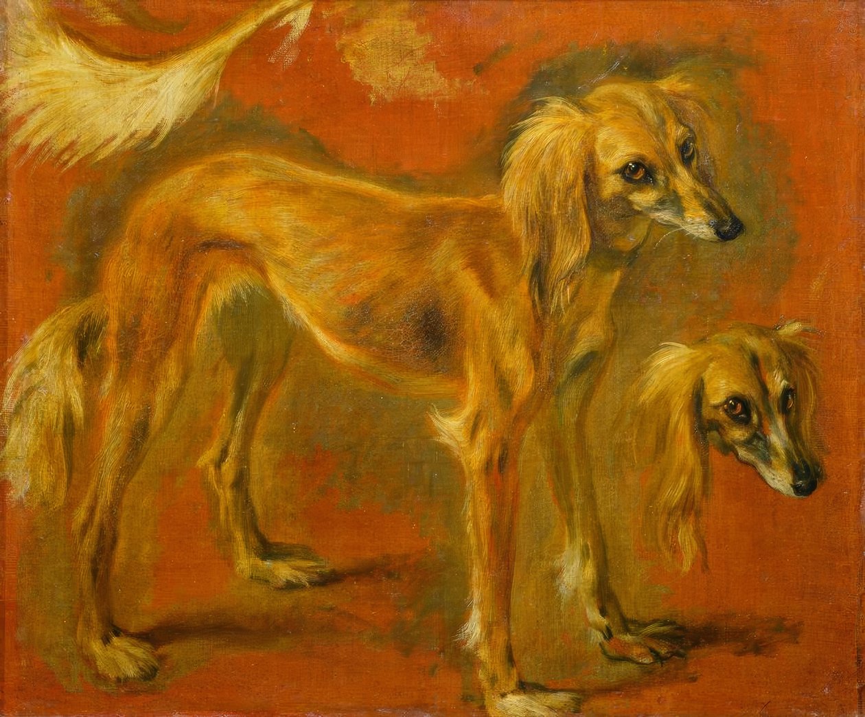 Dois estudos de um galgo de Pieter or Peter Boel