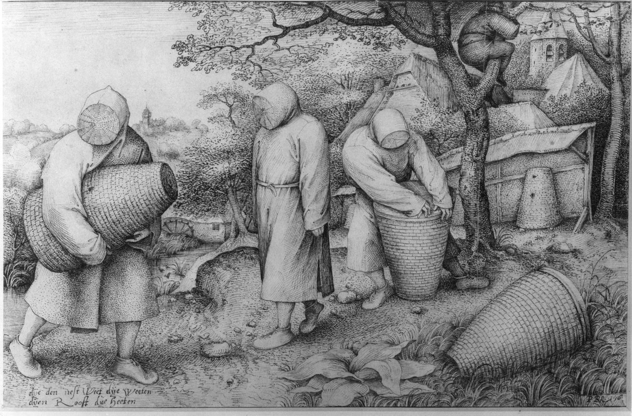 Os apicultores, "If You Know Where the Treasure is, You Can Rob it", c.1567-68 de Pieter Bruegel the Elder