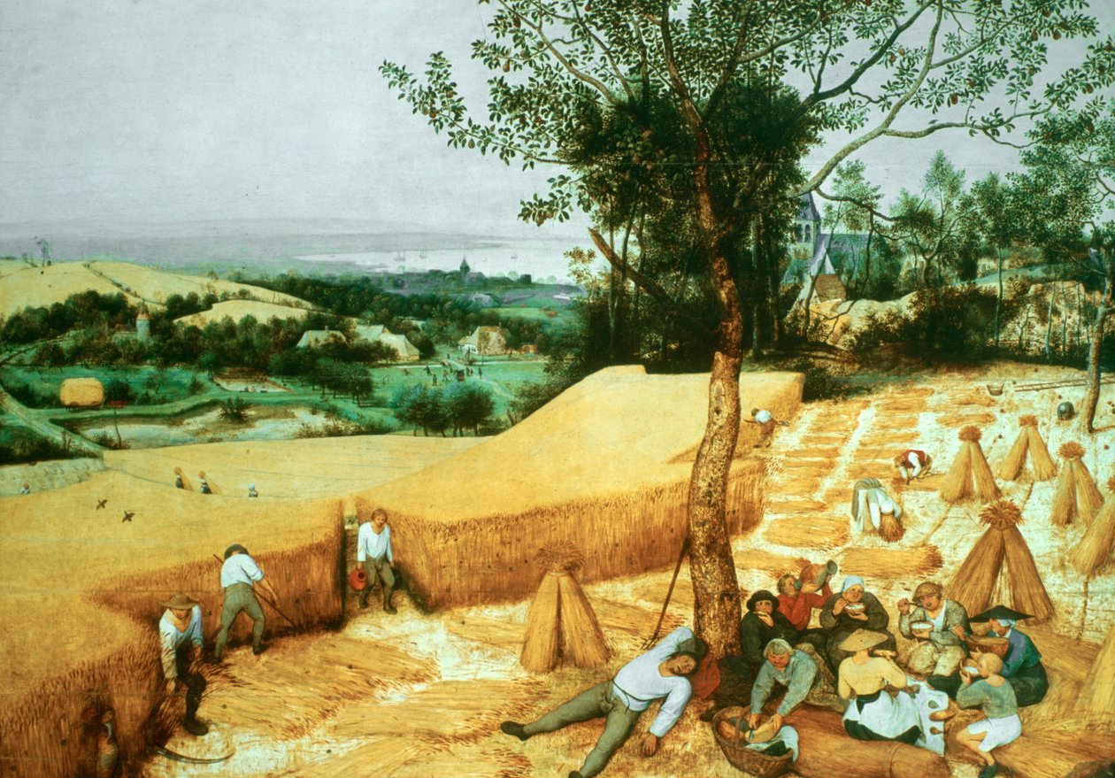 Os Ceifadores, 1565 de Pieter Bruegel the Elder