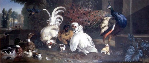 Um pavão, frangos, patos e um martim-pescador de Pieter Casteels