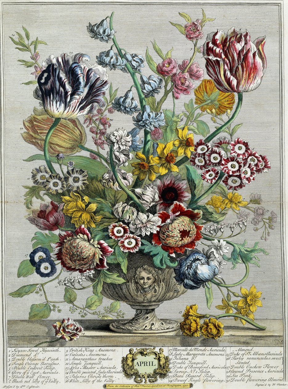 Abril, de "Doze Meses de Flores", 1730 de Pieter Casteels