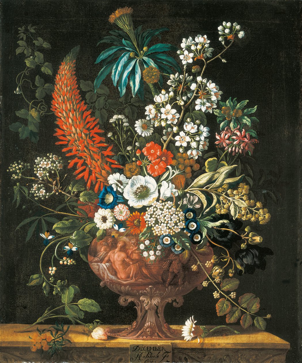 Dezembro, de Os Doze Meses de Flores, um calendário floral de naturezas mortas, 1730 de Pieter Casteels