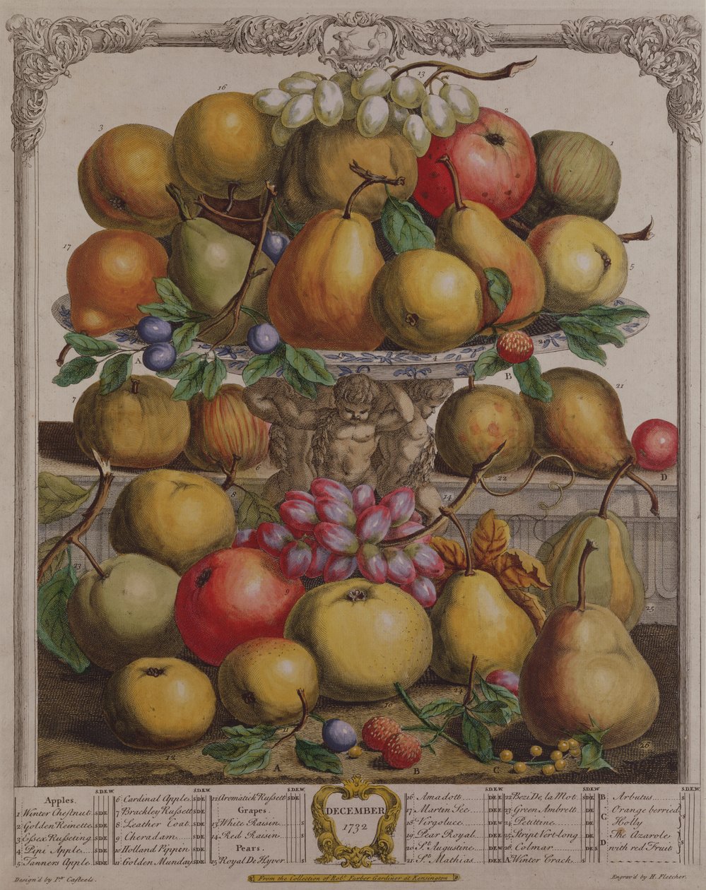 Dezembro, de &39;Doze Meses de Frutos&39;, de Robert Furber (c.1674-1756) gravado por Henry Fletcher, 1732 (gravura a cores) de Pieter Casteels