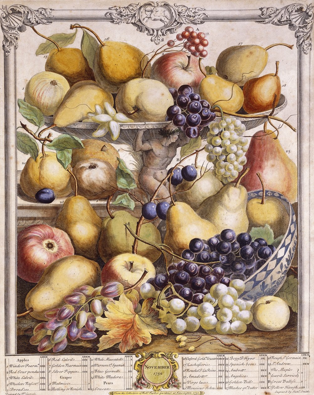 Novembro de 1732, mostrando maçãs sazonais, peras, uvas, etc. de Pieter Casteels
