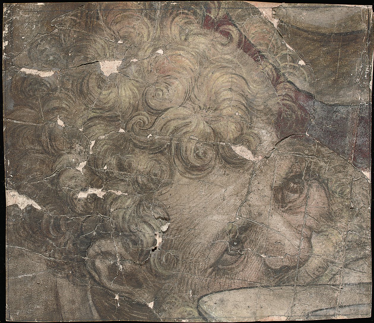 Cabeça de um homem barbudo, olhando para cima de Pieter Coecke van Aelst