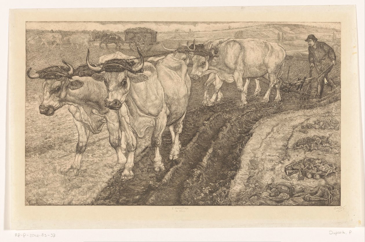 Les Boeufs (título original sobre o objecto)
L