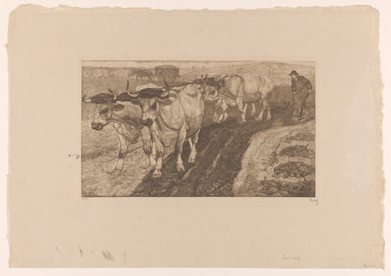 Quatro bois lavradores de Pieter Dupont (signed by artist)