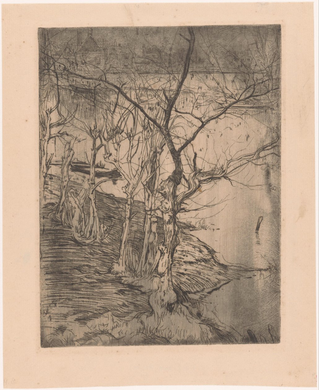 Árvores nuas junto à água de Pieter Dupont