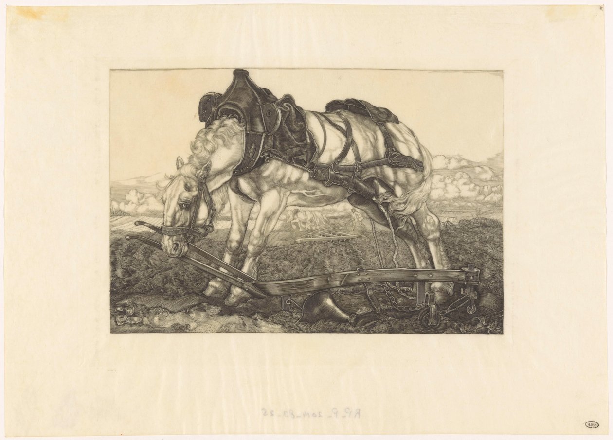 Cavalo de arado de descanso de Pieter Dupont