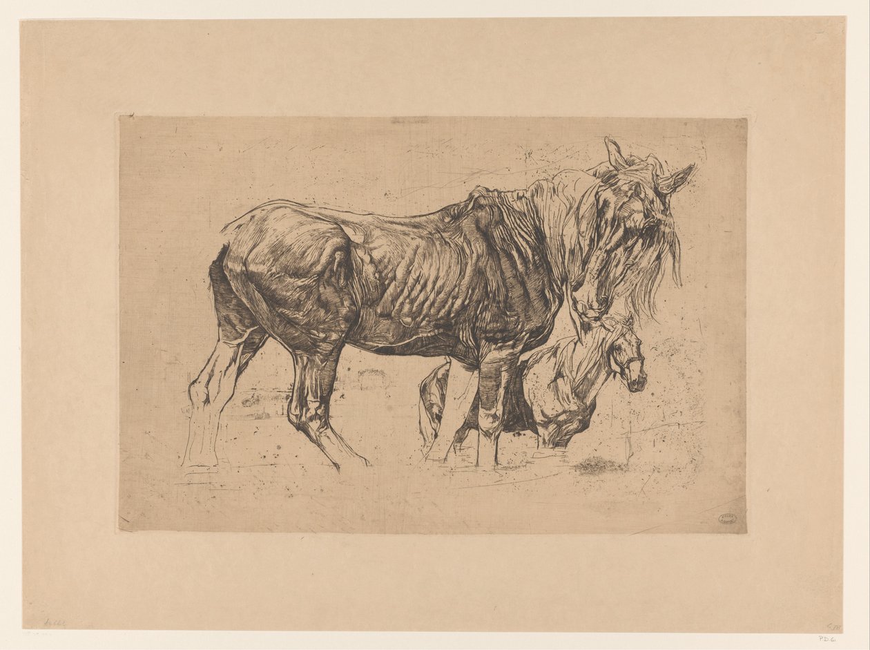 Folha de estudo com dois cavalos de Pieter Dupont