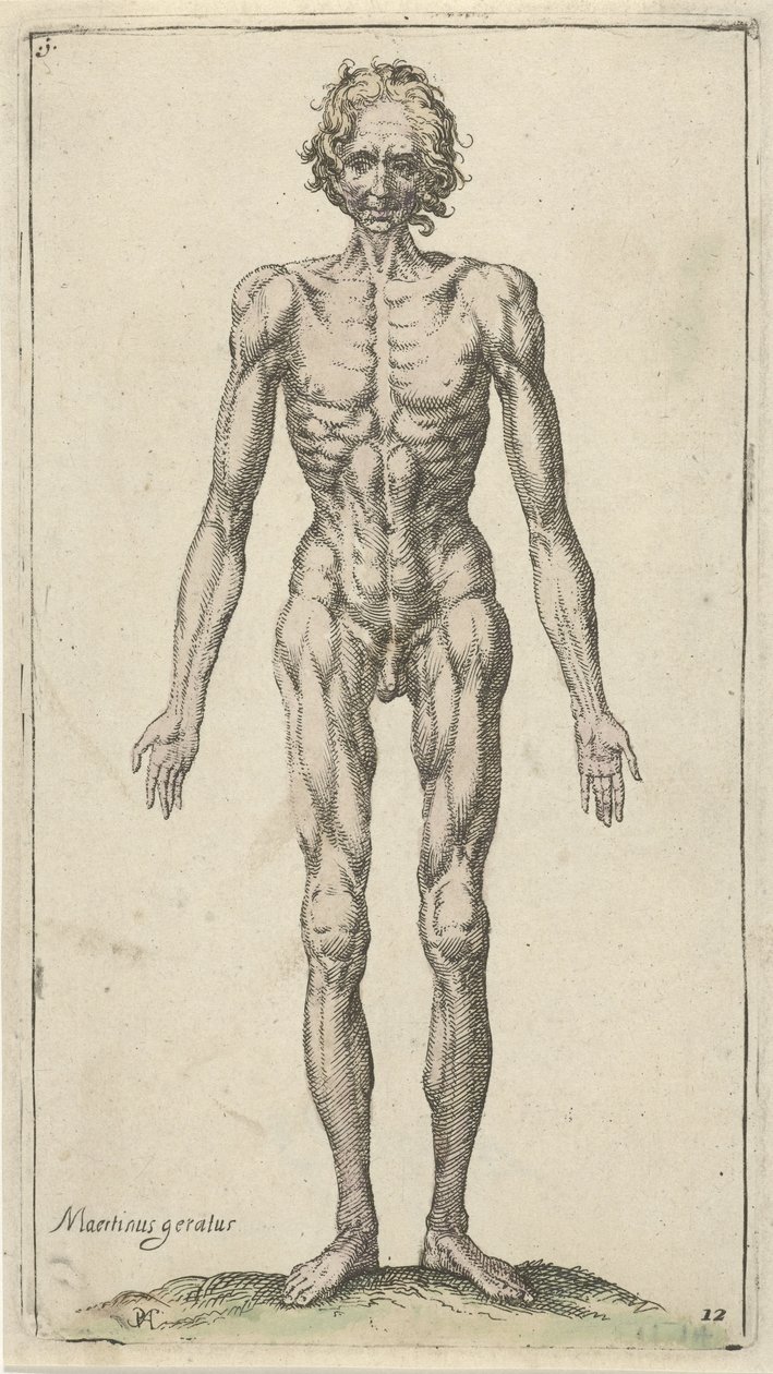 Estudo de um homem nu Estudos anatômicos (título da série) de Pieter Feddes van Harlingen