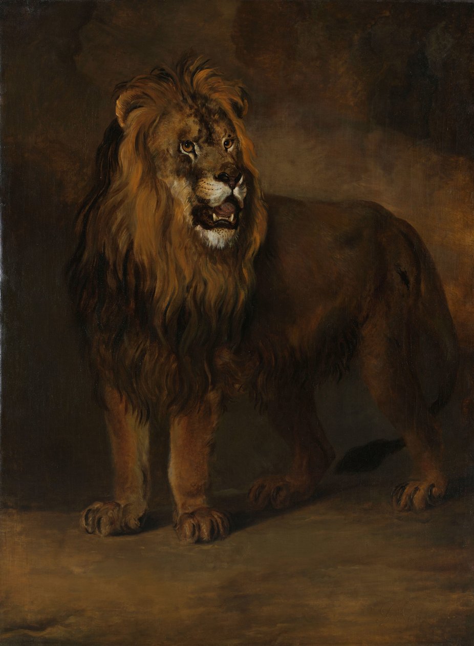 Um leão do zoológico do rei Luís Napoleão, 1808 de Pieter Gerardus van Os