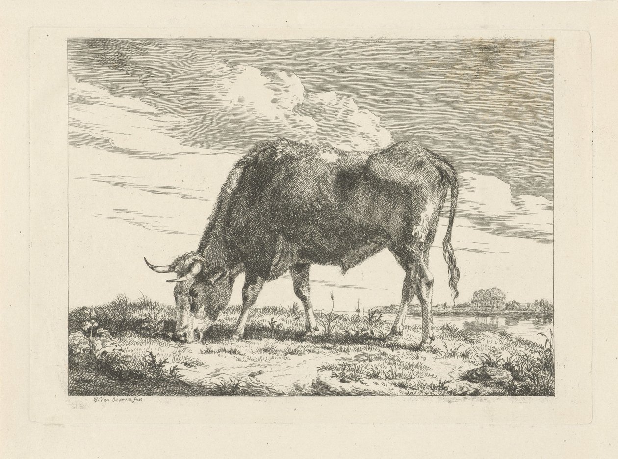 vaca pastando de Pieter Gerardus van Os