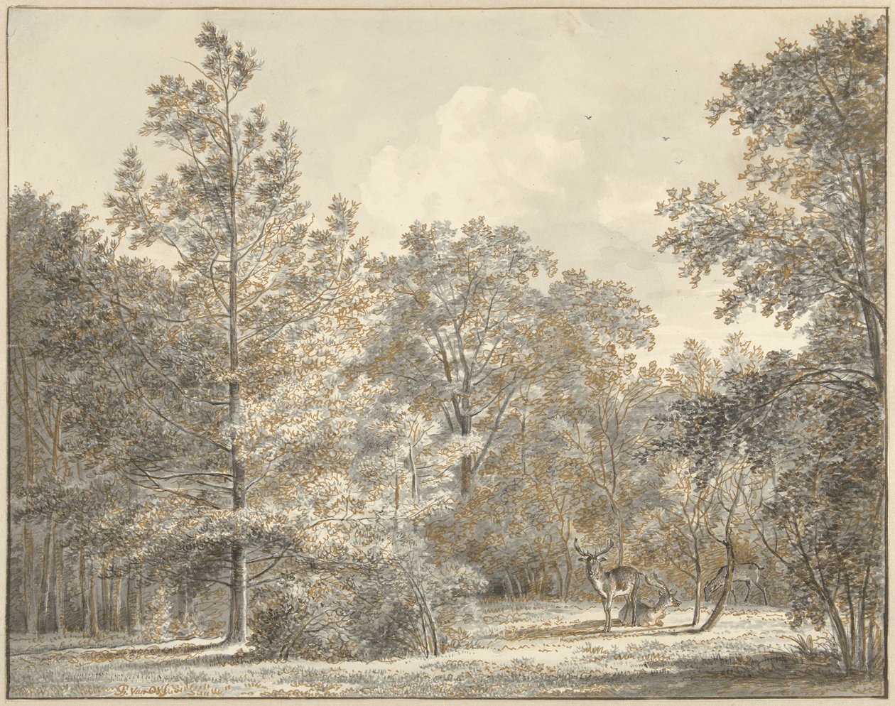 Cervo em uma floresta de Pieter Gerardus van Os