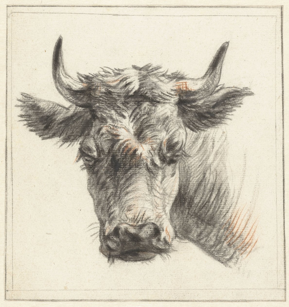 Cabeça de um bovino de Pieter Gerardus van Os