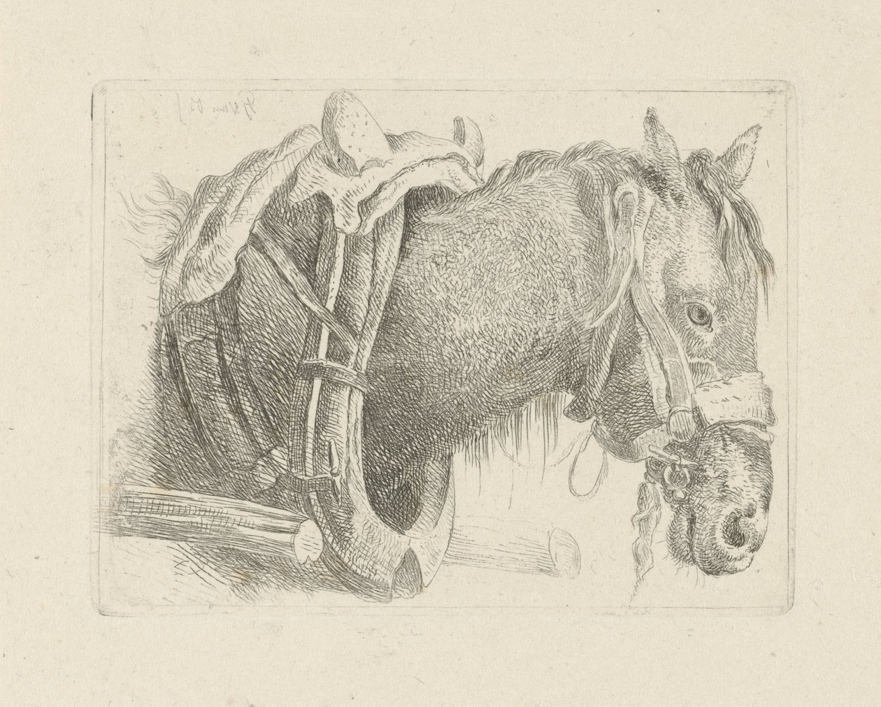 Estudo da cabeça de um cavalo de Pieter Gerardus van Os