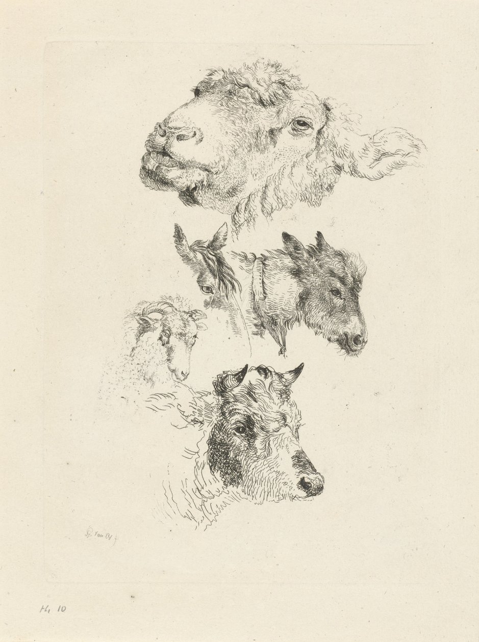Folha de estudo com cabeças de ovelha, cavalo, burro, carneiro e touro de Pieter Gerardus van Os