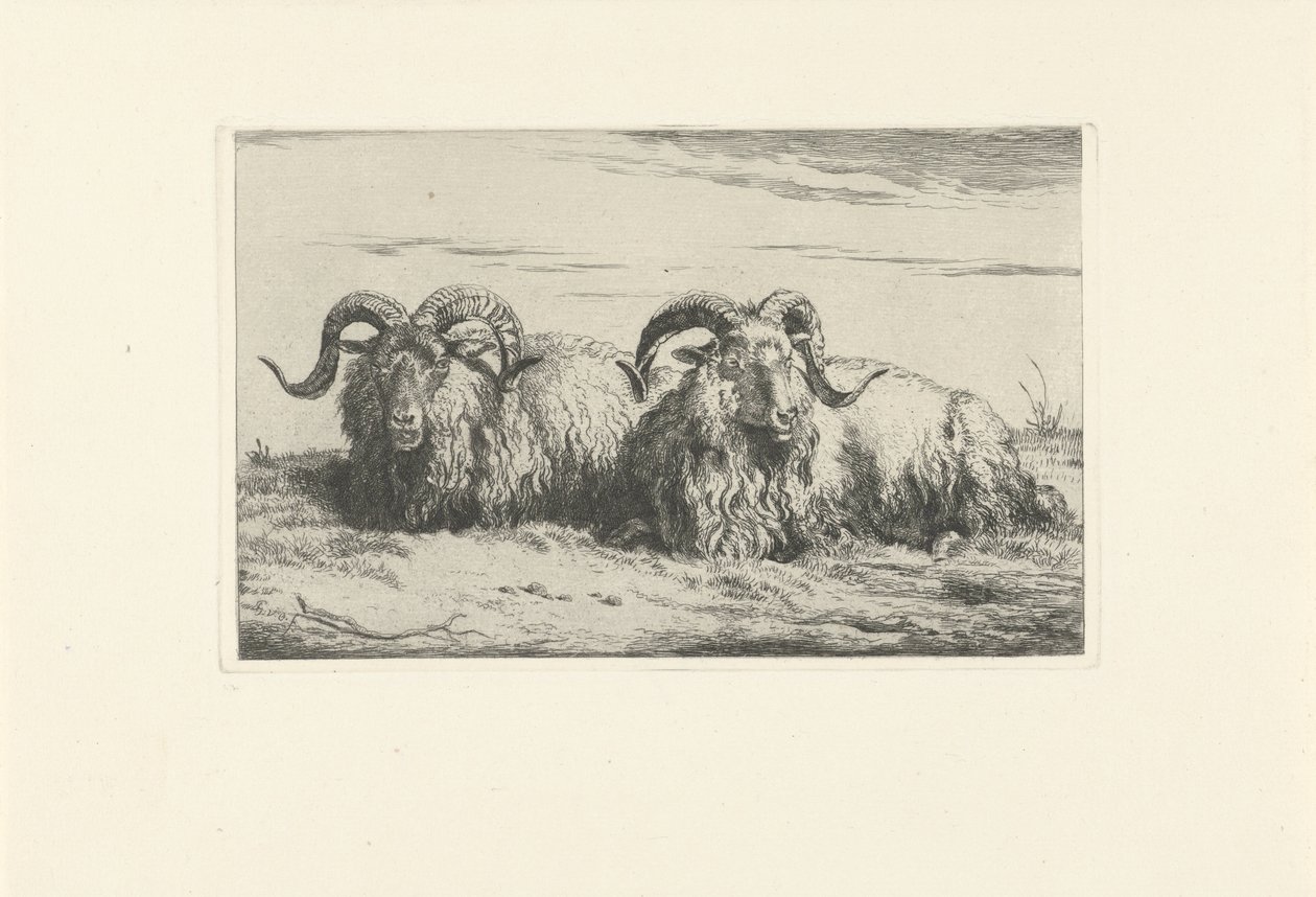Dois carneiros deitados Ovelhas e cabras (título da série) de Pieter Gerardus van Os