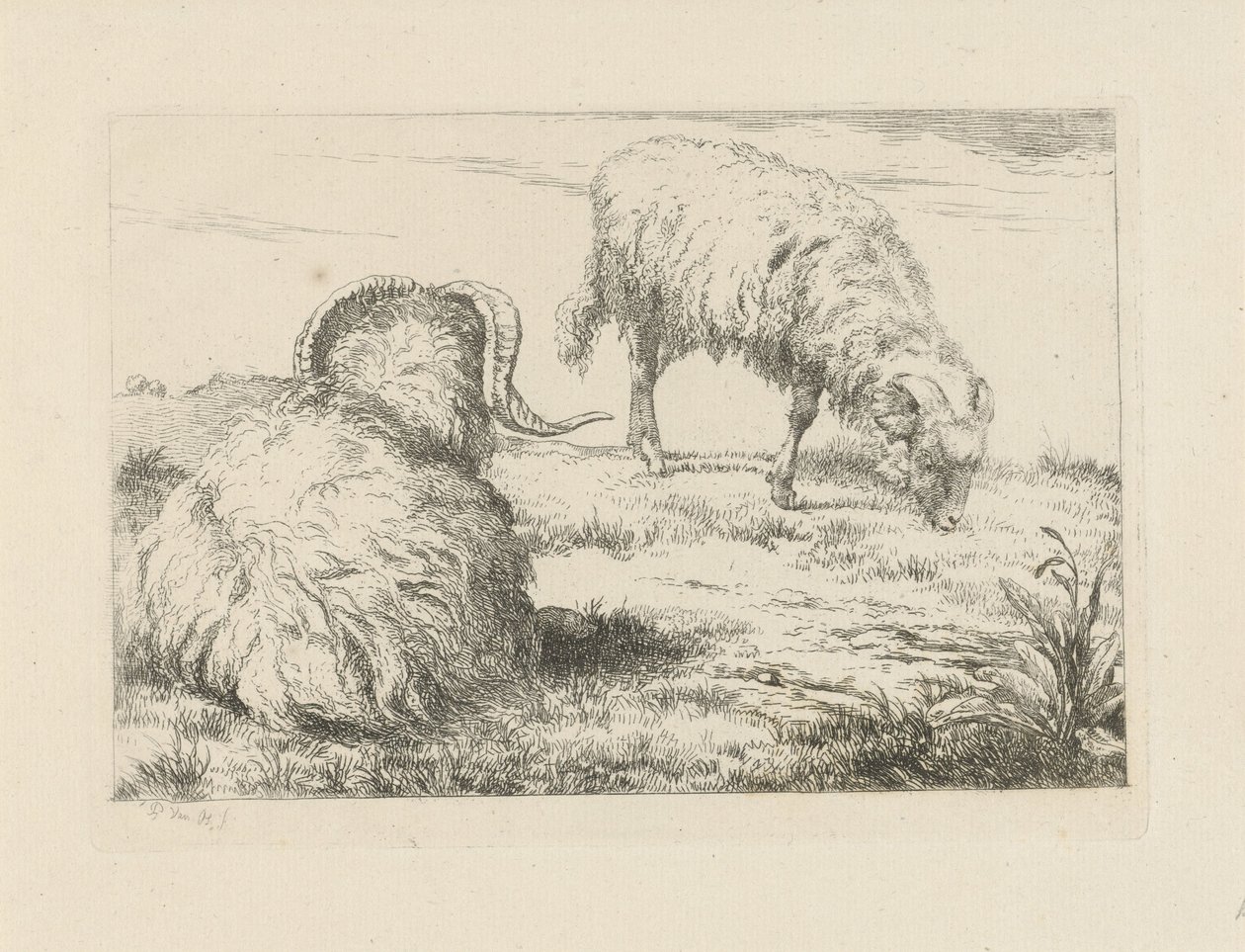 Dois carneiros no prado
Ovinos e caprinos (título da série) de Pieter Gerardus van Os