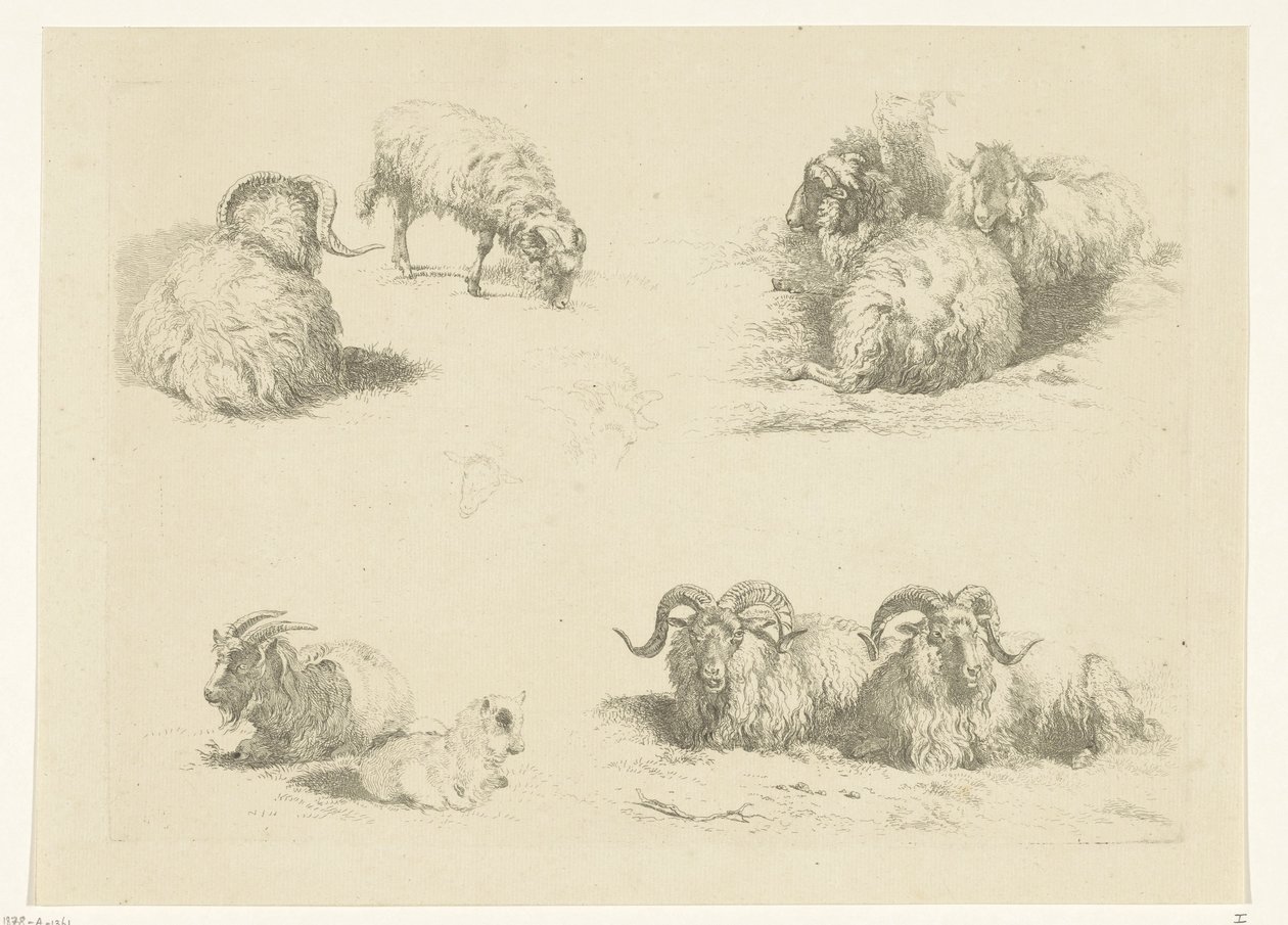 Quatro espectáculos com ovelhas e cabras
Ovinos e caprinos (título da série) de Pieter Gerardus van Os