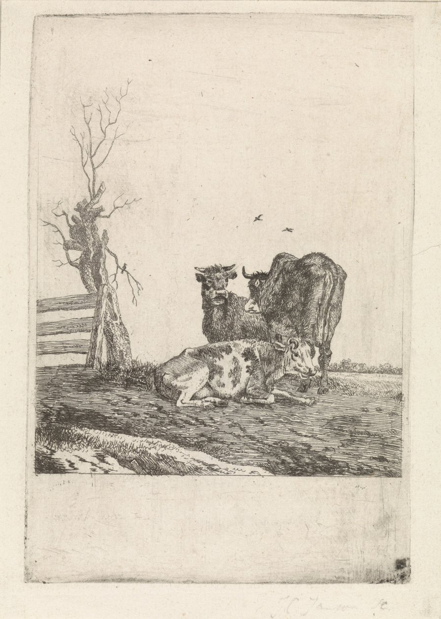 Paisagem com três vacas de Pieter Janson