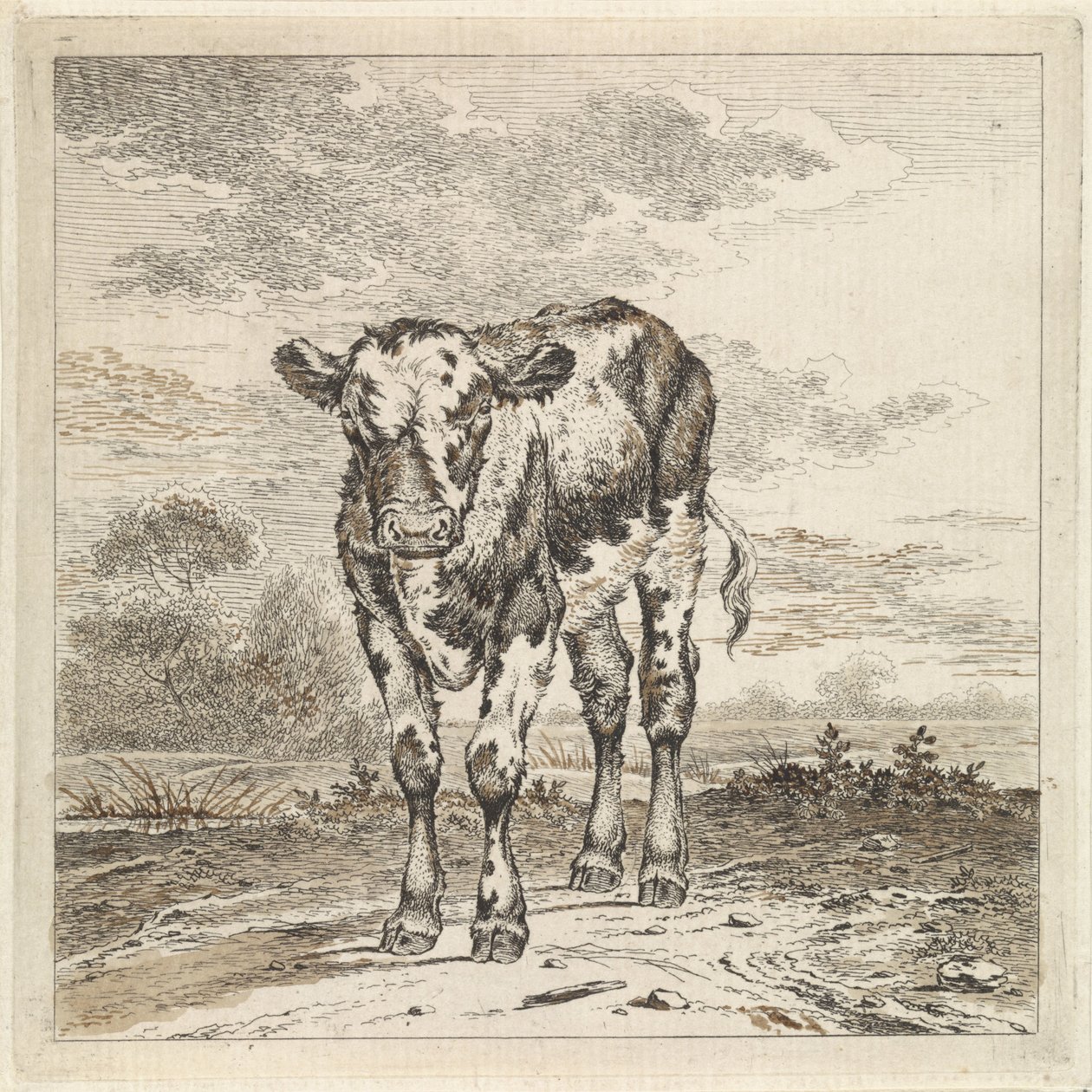 Paisagem com bezerro de Pieter Janson