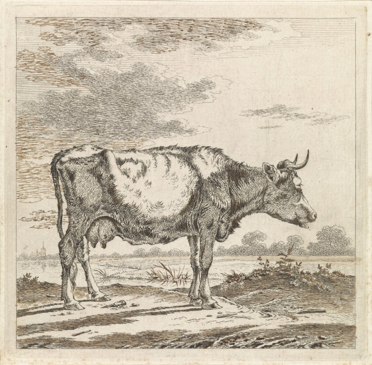 Paisagem com uma vaca à beira-mar de Pieter Janson