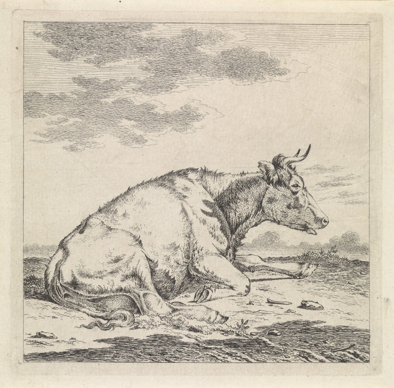 Vaca reclinada, para a direita de Pieter Janson