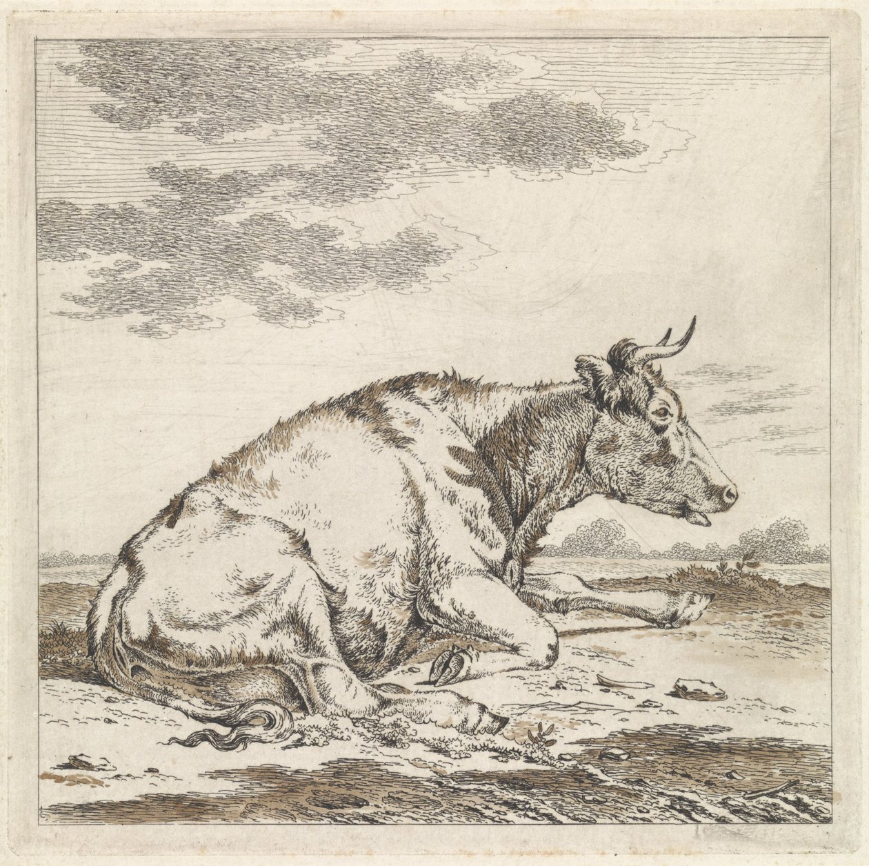 Vaca reclinada, à direita de Pieter Janson